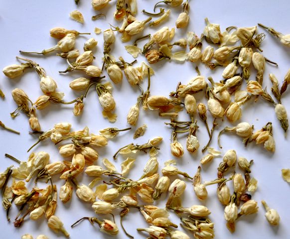 Jasmine